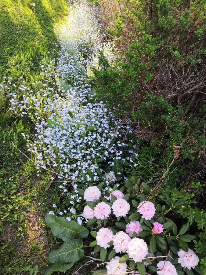 Hotel Lily's Garden 4*